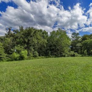 Photo #10 of OAK SHADE, JEFFERSONTON, VA 16.9 acres