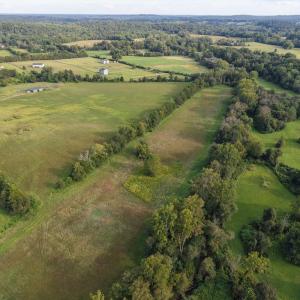 Photo #7 of OAK SHADE, JEFFERSONTON, VA 16.9 acres