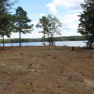 Photo #2 of 60 LAURELWOOD DR, BUMPASS, VA 1.9 acres
