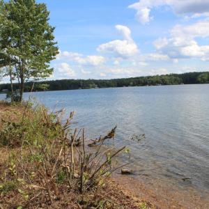 Photo #3 of 60 LAURELWOOD DR, BUMPASS, VA 1.9 acres