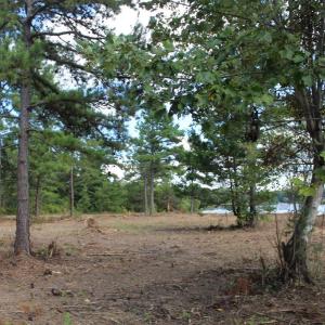 Photo #5 of 60 LAURELWOOD DR, BUMPASS, VA 1.9 acres