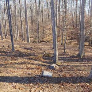 Photo #4 of 15220 LOST HORIZON LN, FREDERICKSBURG, VA 5.1 acres
