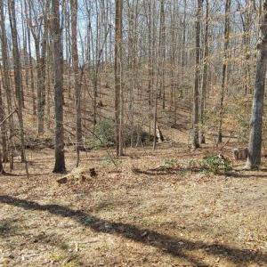 Photo #5 of 15220 LOST HORIZON LN, FREDERICKSBURG, VA 5.1 acres