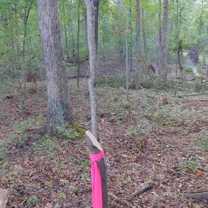 Photo #6 of 15220 LOST HORIZON LN, FREDERICKSBURG, VA 5.1 acres