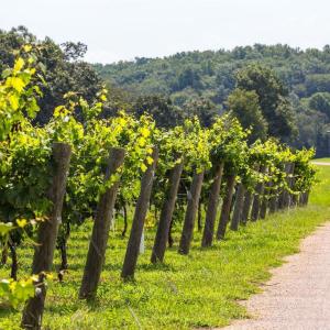 Photo #4 of 6887 BLENHEIM ROAD, SCOTTSVILLE, VA 400.0 acres