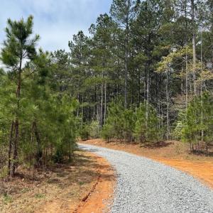 Photo #6 of  30.0 acres