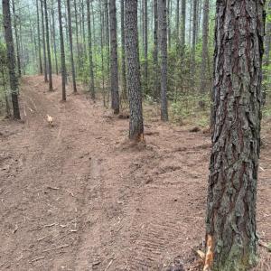 Photo #13 of  30.0 acres