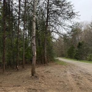 Photo #20 of  30.0 acres