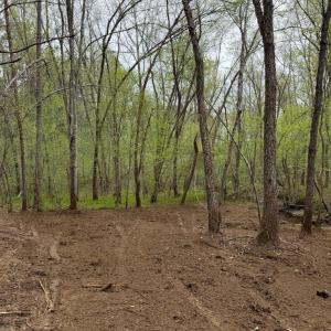 Photo #24 of  30.0 acres