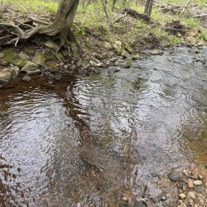 Photo #7 of  36.2 acres