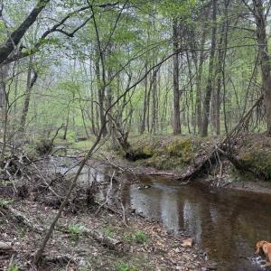 Photo #1 of  36.2 acres