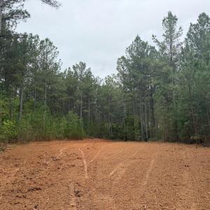 Photo #8 of  36.2 acres