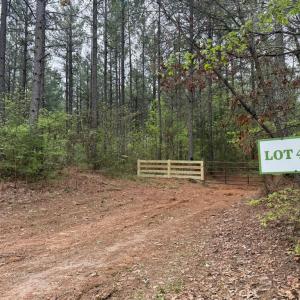 Photo #22 of  36.2 acres