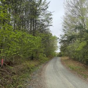 Photo #23 of  36.2 acres
