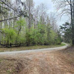Photo #24 of  36.2 acres