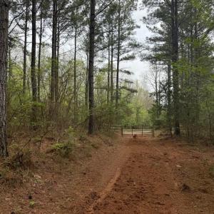 Photo #25 of  36.2 acres
