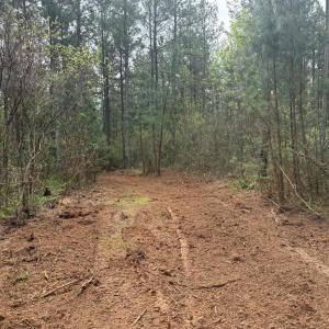 Photo #26 of  36.2 acres