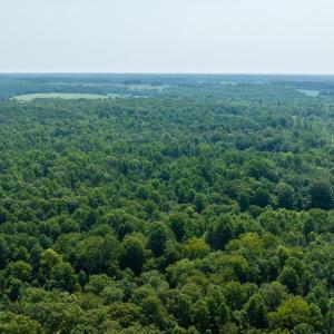Photo #7 of HUNTERS RIDGE LN, UNIONVILLE, VA 6.9 acres