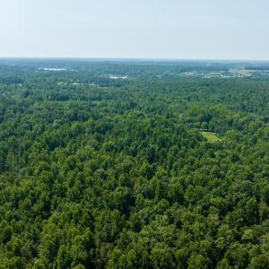 Photo #8 of HUNTERS RIDGE LN, UNIONVILLE, VA 6.9 acres