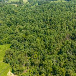 Photo #1 of HUNTERS RIDGE LN, UNIONVILLE, VA 6.9 acres