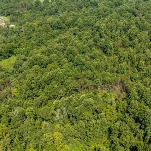 Photo #10 of HUNTERS RIDGE LN, UNIONVILLE, VA 6.9 acres
