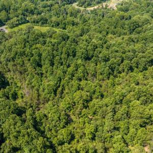 Photo #11 of HUNTERS RIDGE LN, UNIONVILLE, VA 6.9 acres