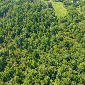 Photo #12 of HUNTERS RIDGE LN, UNIONVILLE, VA 6.9 acres