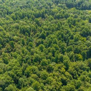 Photo #13 of HUNTERS RIDGE LN, UNIONVILLE, VA 6.9 acres