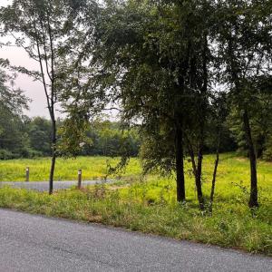 Photo #16 of HUNTERS RIDGE LN, UNIONVILLE, VA 6.9 acres