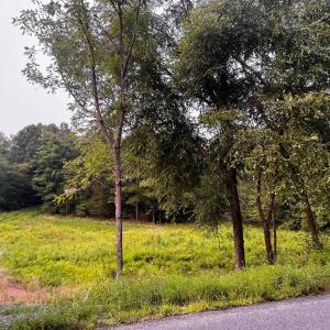 Photo #17 of HUNTERS RIDGE LN, UNIONVILLE, VA 6.9 acres