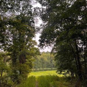 Photo #20 of HUNTERS RIDGE LN, UNIONVILLE, VA 6.9 acres