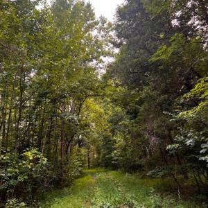 Photo #21 of HUNTERS RIDGE LN, UNIONVILLE, VA 6.9 acres