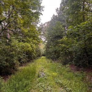 Photo #22 of HUNTERS RIDGE LN, UNIONVILLE, VA 6.9 acres