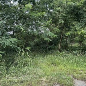 Photo #1 of 129 BOWLER LN, ORANGE, VA 0.2 acres
