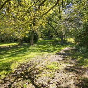 Photo #1 of 0 FAUQUIER AVE - 6989-86-9651-000, THE PLAINS, VA 2.0 acres