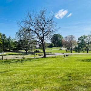 Photo #9 of 6416 AIRLIE RD, WARRENTON, VA 14.4 acres