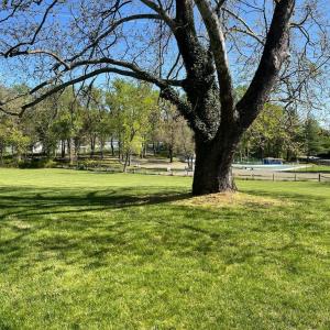 Photo #11 of 6416 AIRLIE RD, WARRENTON, VA 14.4 acres