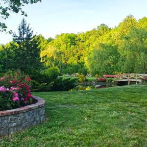 Photo #9 of 7017 MORRIS RD, SPOTSYLVANIA, VA 30.4 acres