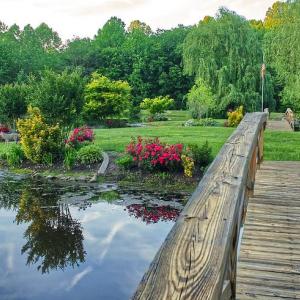 Photo #10 of 7017 MORRIS RD, SPOTSYLVANIA, VA 30.4 acres