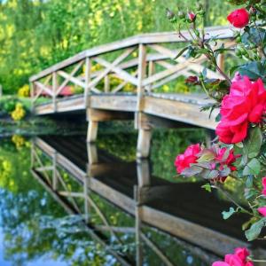 Photo #14 of 7017 MORRIS RD, SPOTSYLVANIA, VA 30.4 acres