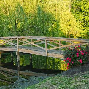 Photo #15 of 7017 MORRIS RD, SPOTSYLVANIA, VA 30.4 acres