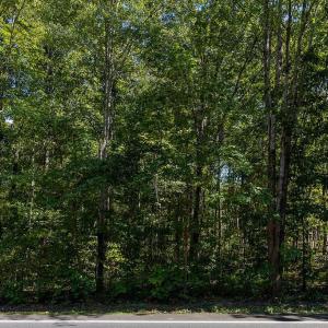 Photo #2 of 1231 LAKEVIEW PKWY, LOCUST GROVE, VA 0.4 acres