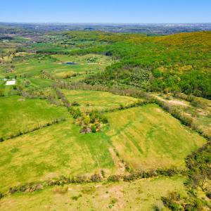 Photo #9 of BULL RUN MOUNTAIN ROAD, THE PLAINS, VA 345.3 acres