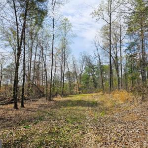 Photo #3 of AMANDA'S RIDGE LANE, CULPEPER, VA 20.2 acres