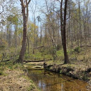 Photo #8 of AMANDA'S RIDGE LANE, CULPEPER, VA 20.2 acres