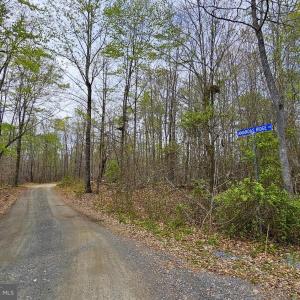 Photo #11 of AMANDA'S RIDGE LANE, CULPEPER, VA 20.2 acres