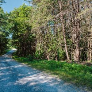 Photo #13 of RIVERVIEW ROAD, LURAY, VA 1.5 acres