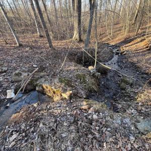 Photo #15 of 14285 WOODS VIEW LN, REVA, VA 10.1 acres