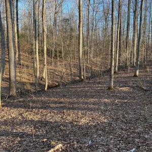 Photo #19 of 14285 WOODS VIEW LN, REVA, VA 10.1 acres