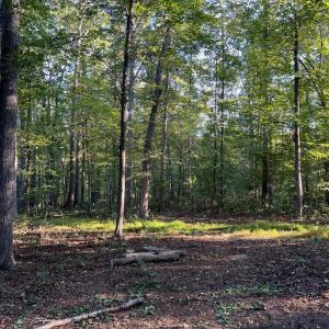 Photo #1 of 14285 WOODS VIEW LN, REVA, VA 10.1 acres